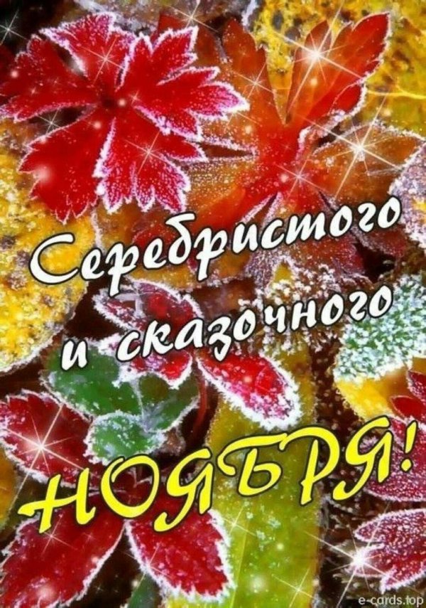 открытка с добрым ноябрьским днем