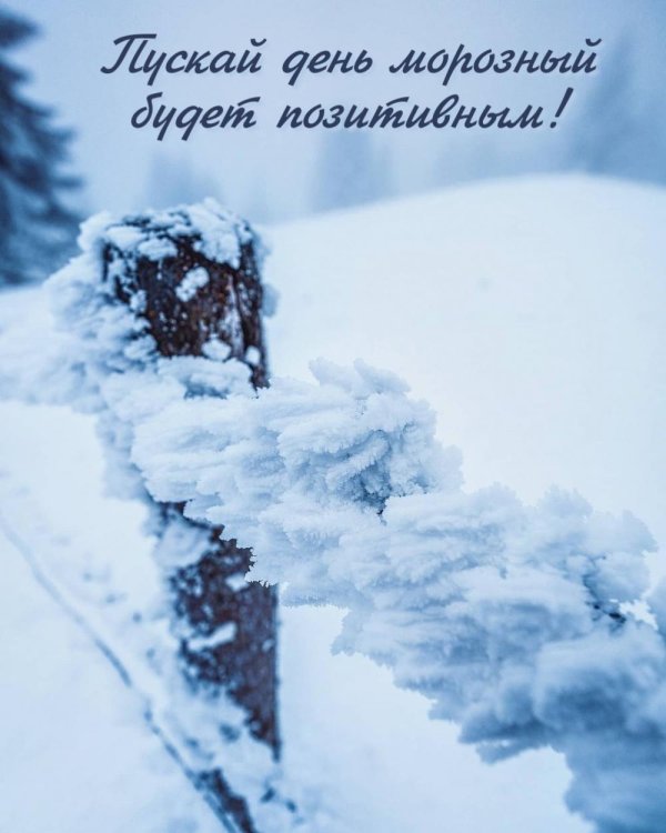 добрый снежный день