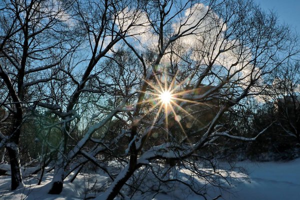 зимнее солнце