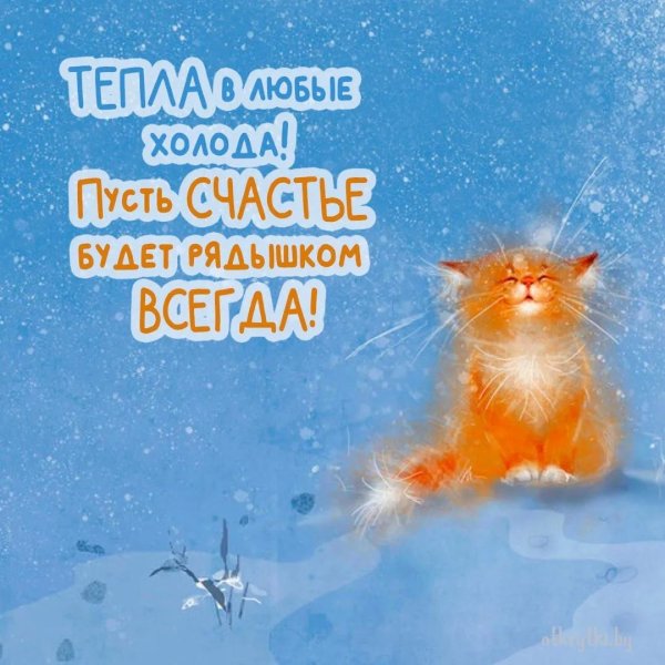 кошка в снегу