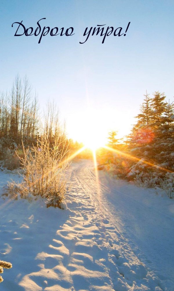 солнце зимой