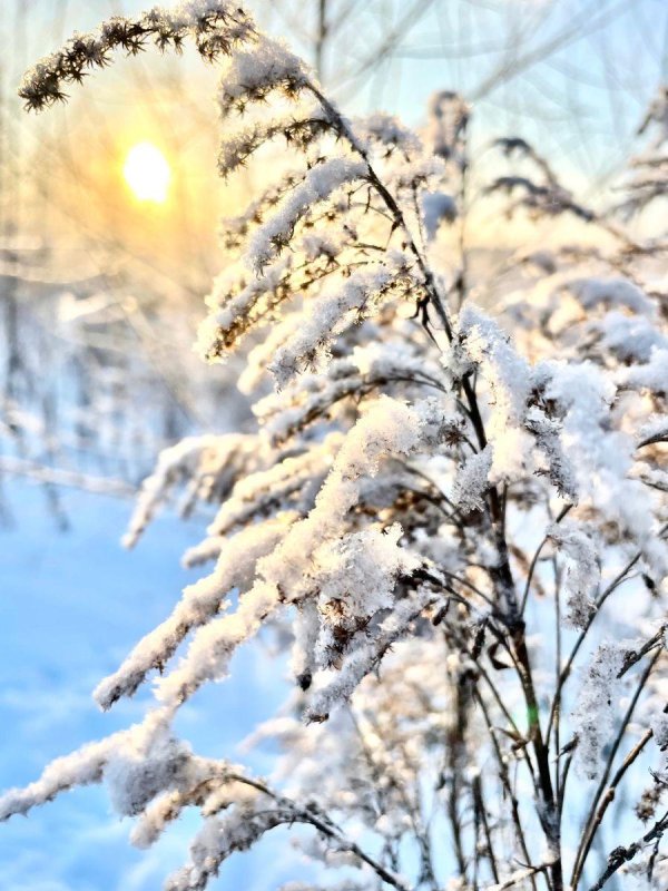 солнце зимнее