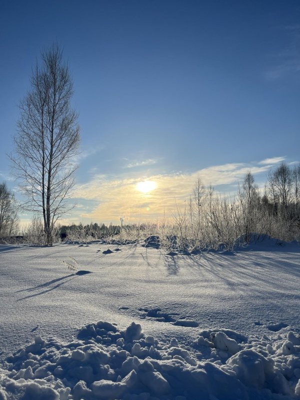 морозного дня