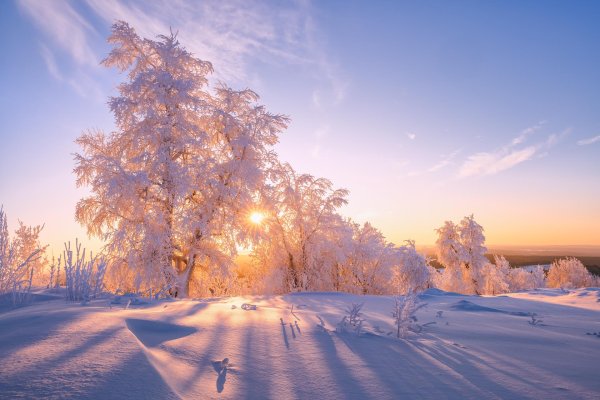 зимняя природа