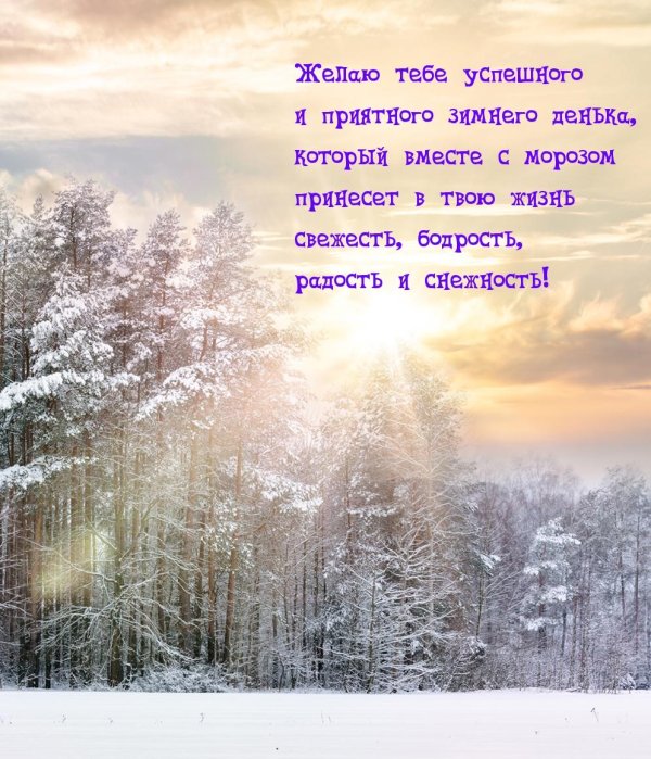 зимний денек