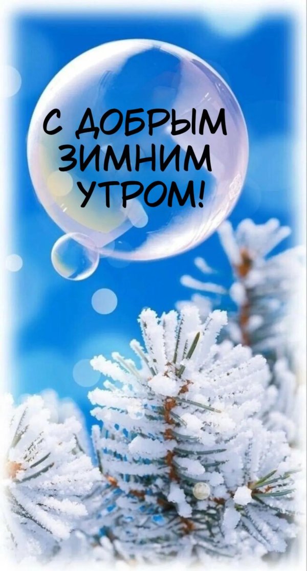 доброе утро мороз