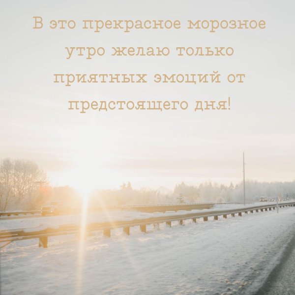 снежное утро