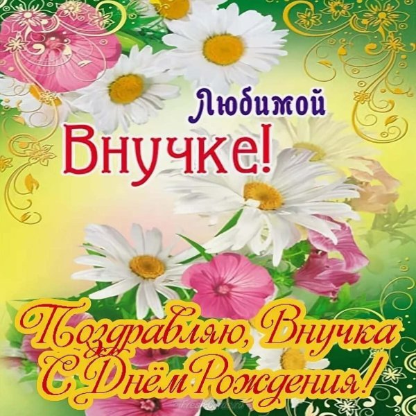 с день рождения внучки