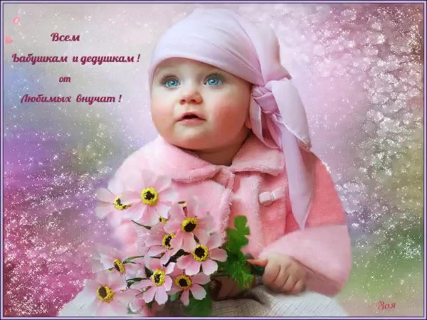 7 сентября день внучат