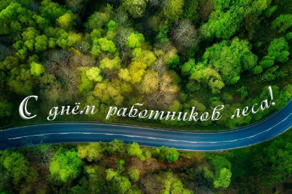 с днем работника леса