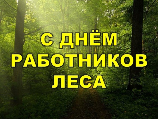 с днем работника леса