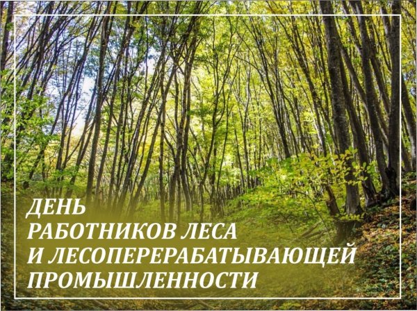 с днем работника леса