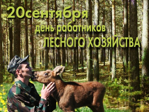 поздравление с днем лесного хозяйства
