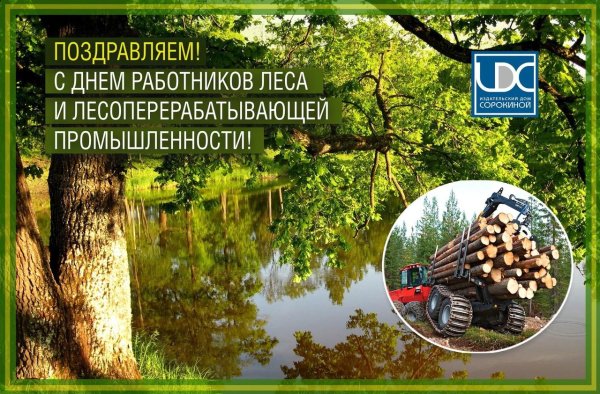 поздравление с днем работника леса