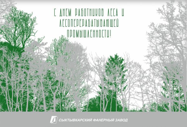 с днем работника леса