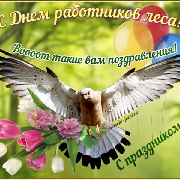 поздравление с днем лесного хозяйства