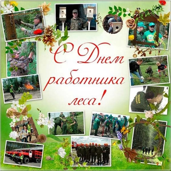 с днем работника леса