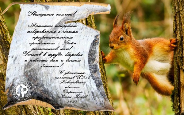 праздник леса