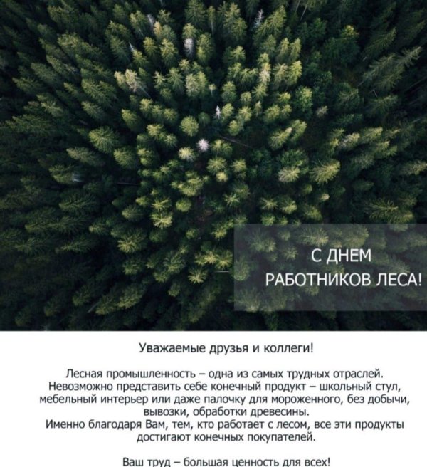 поздравление с днем работника леса