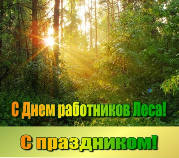 день работников леса открытки
