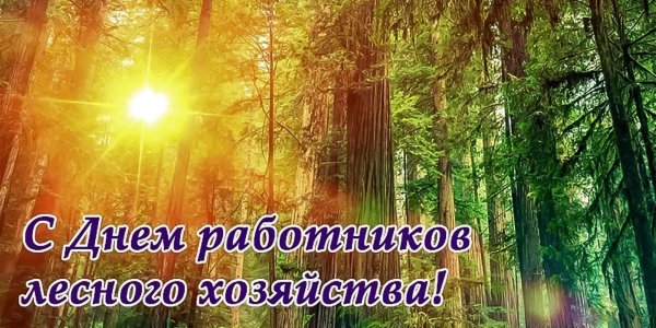 с днем работника лесного хозяйства