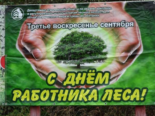 с днем работника леса