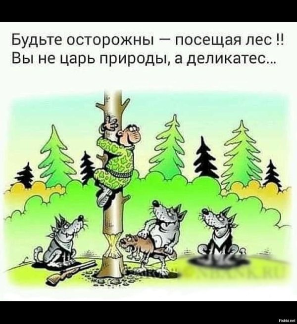 анекдоты про лес