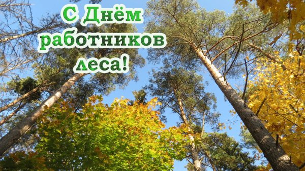 с днем работника леса