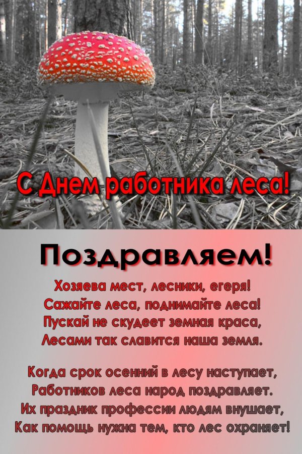 мухомор красный