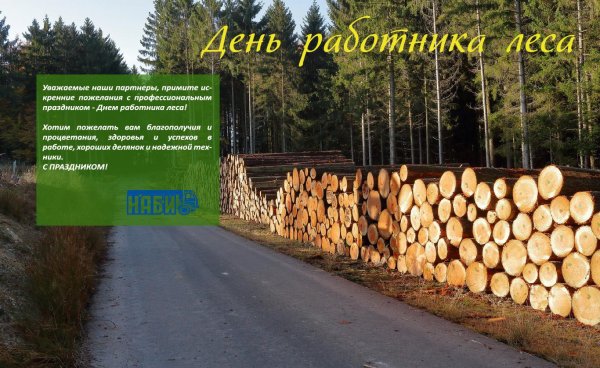 поздравление с днем работника леса