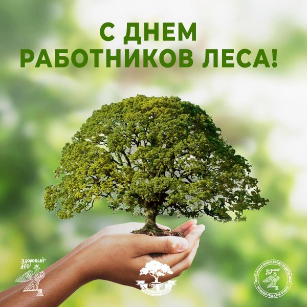 с днем работника леса