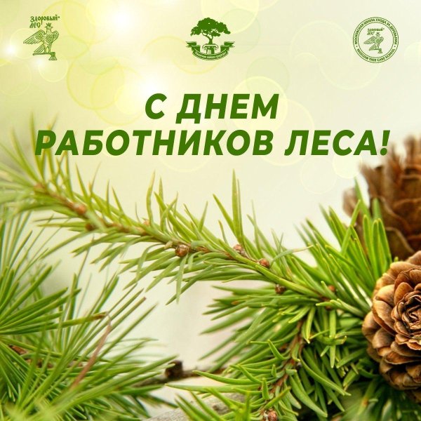 с днем работника леса