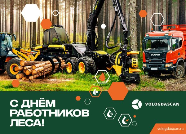 с днем работника леса
