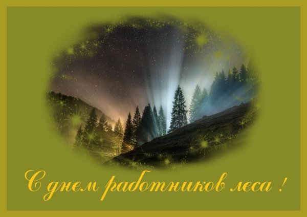 с днем работника леса