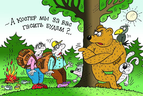 медведь карикатура