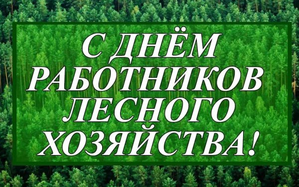 с днем лесного хозяйства