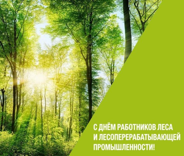 с днем работников леса и лесоперерабатывающей промышленности