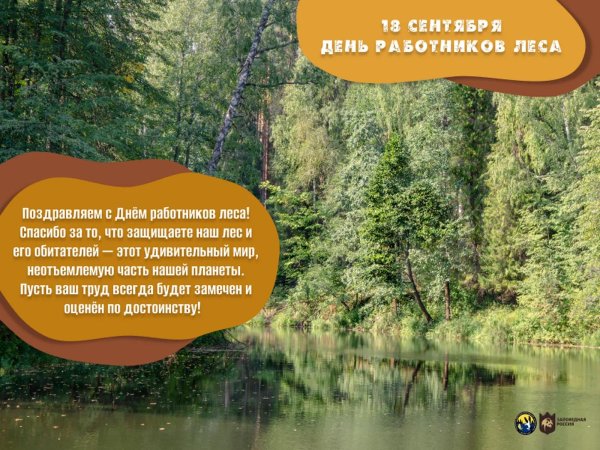 с днем работника леса