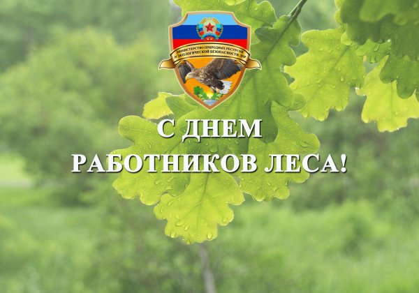 с днем работника лесного хозяйства