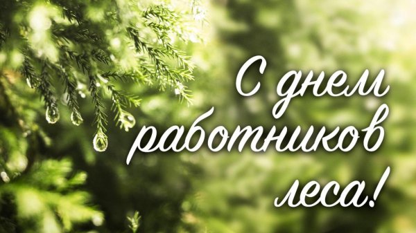 с днем работника леса