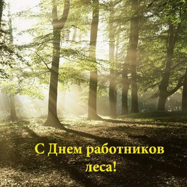 с днем работника леса