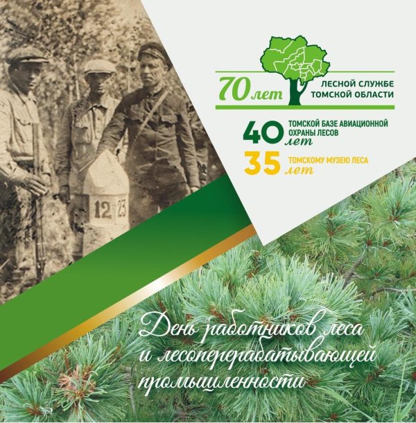 с днем работника леса