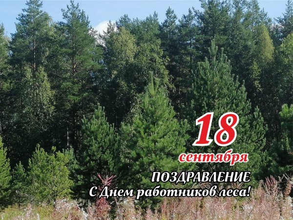 поздравление с днем лесного хозяйства