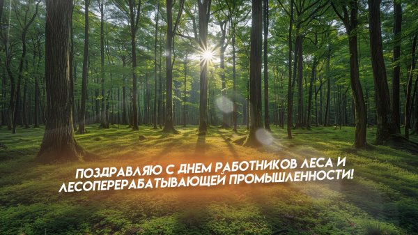 с днем работника леса