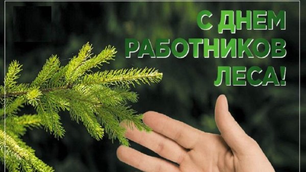 день работников леса открытки