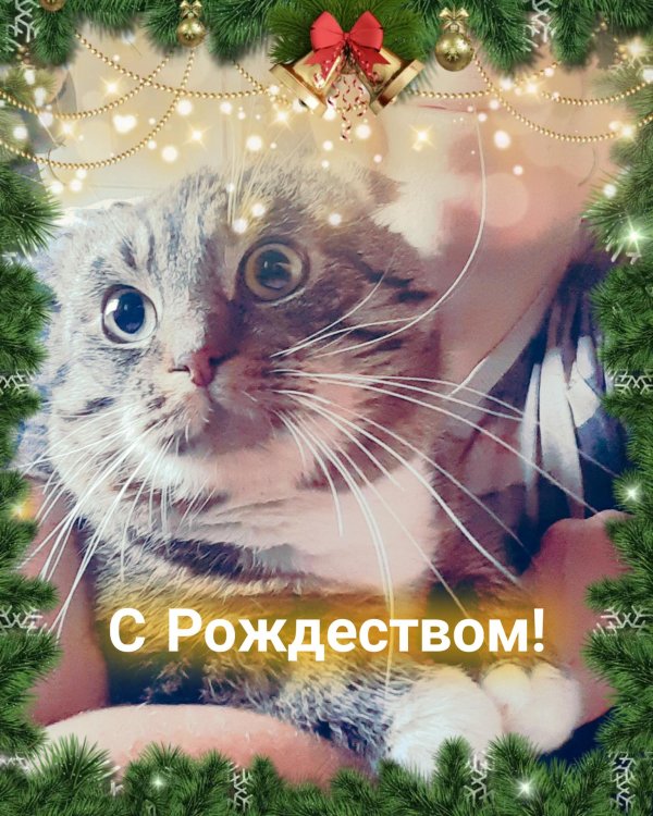 с рождеством