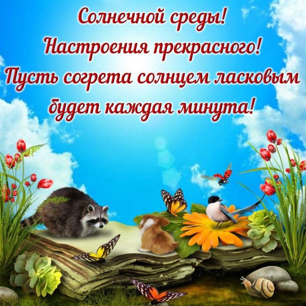 Прекрасного дня и отличного настроения