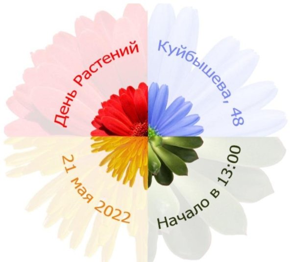 семицветик а
