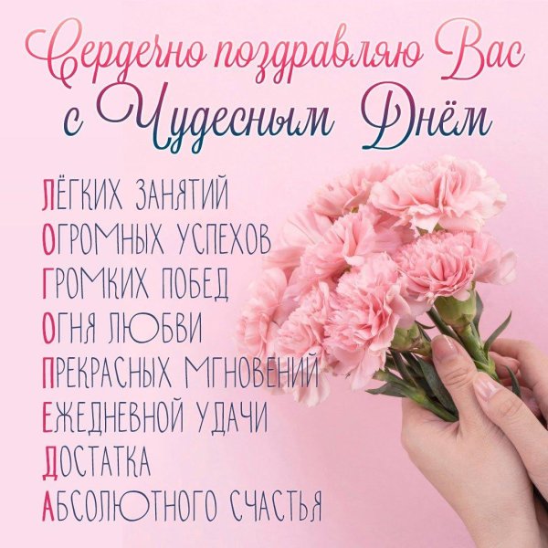 гвоздики розовые