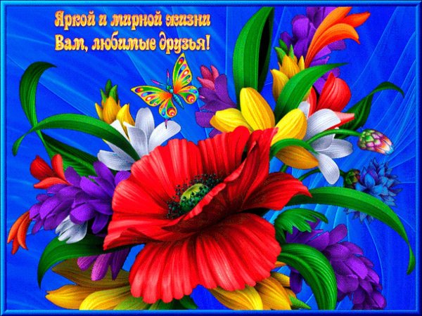 яркие открытки